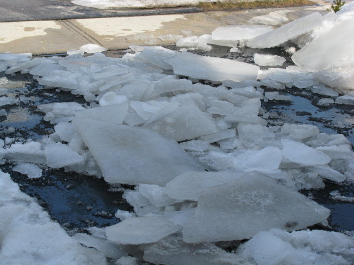 横跨太平洋和北美洲的搬家项目终于完成了