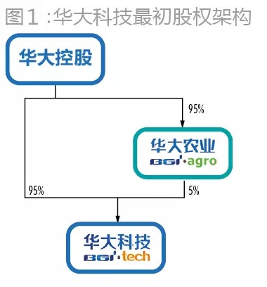 华大科技最初股权