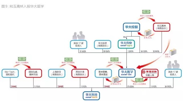 华大医学引进投资人和玉高林