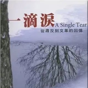 “中国的良心”在美国流完最后“一滴泪”!